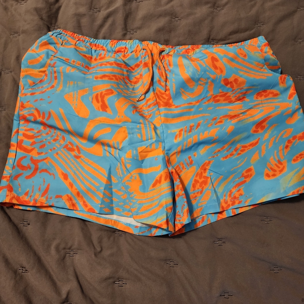 Icon Swim Swim Trunks
